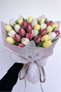 Tulipanes - Tres colores (mezcla y combina)