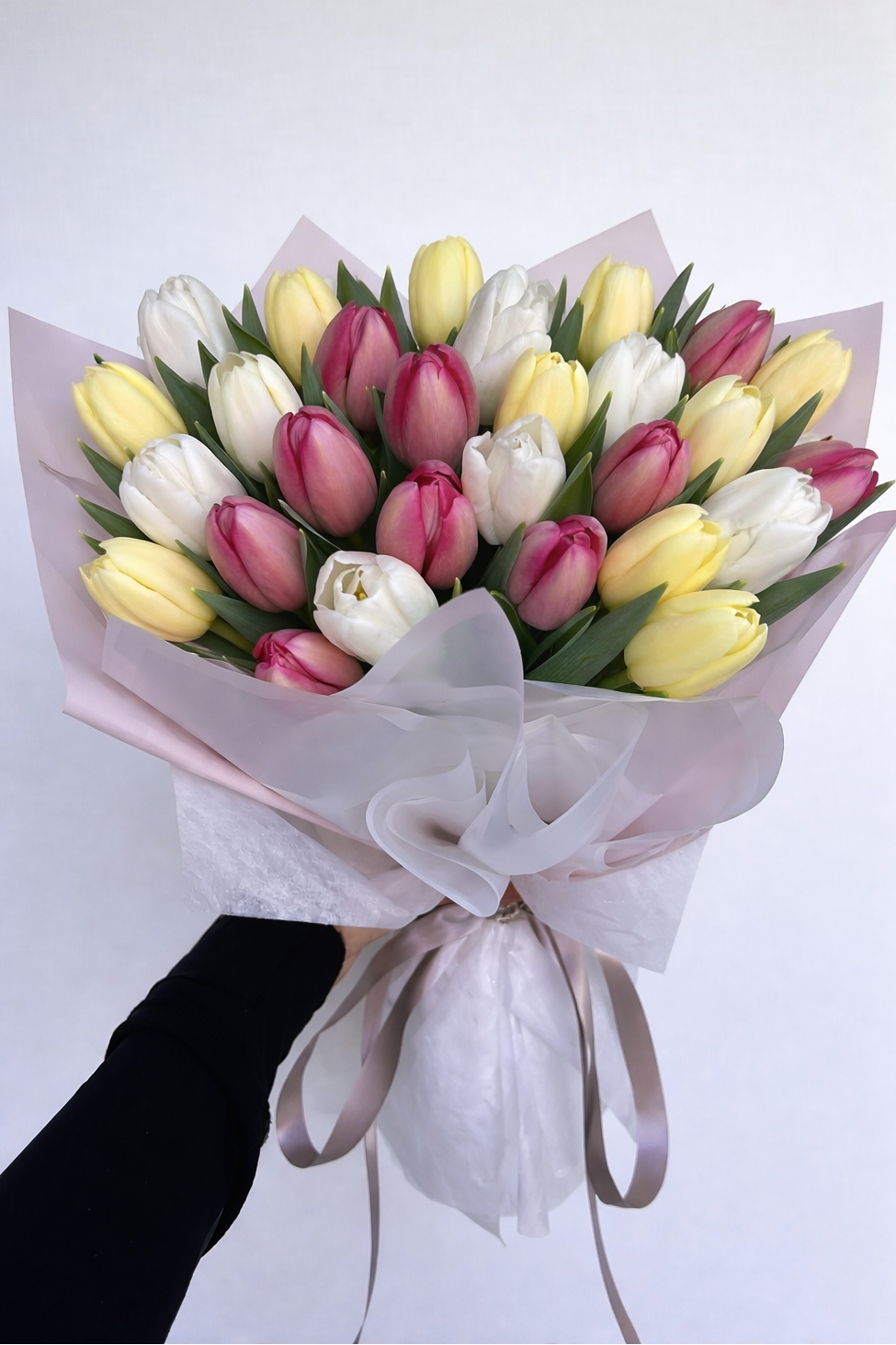 Tulipanes - Tres colores (mezcla y combina)
