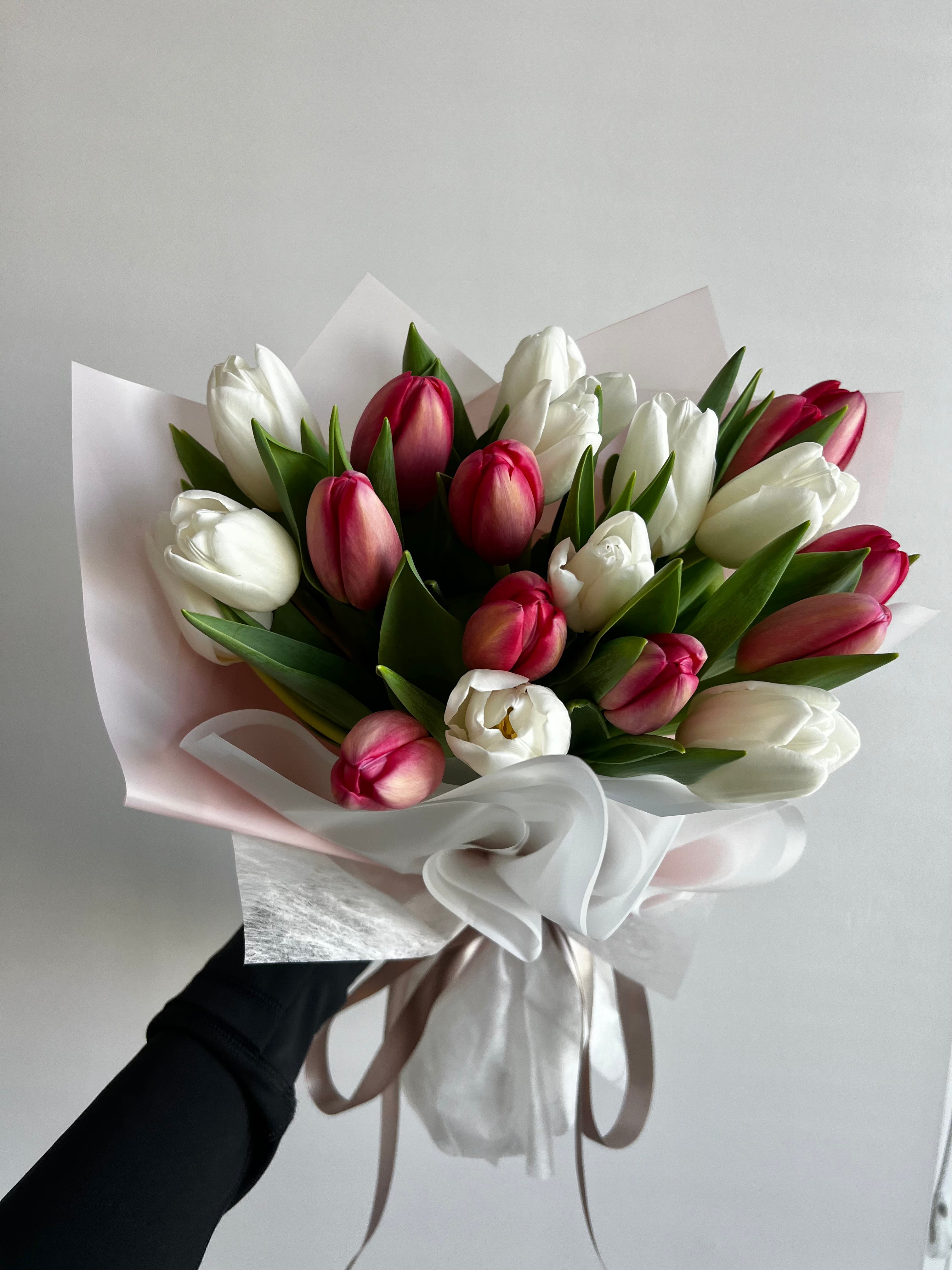Tulips - Two Colors (Mix & Match)