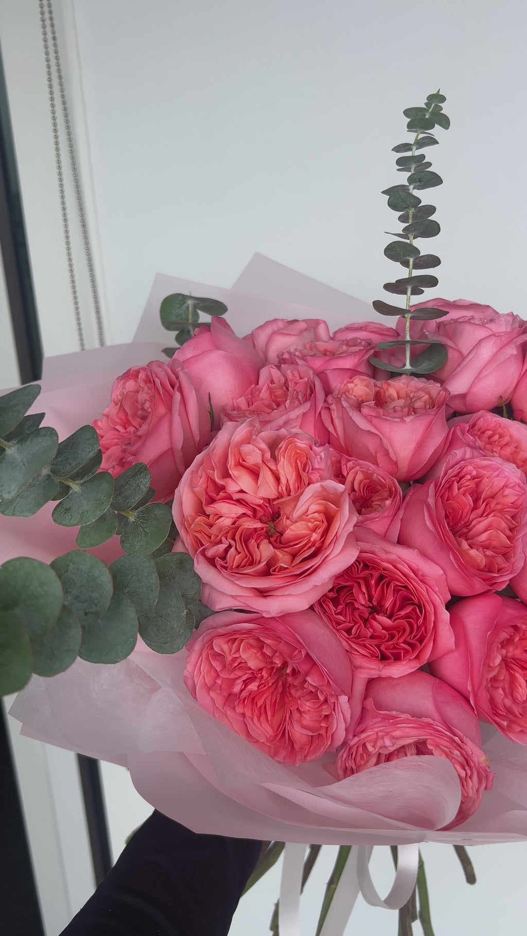 Rosas Rosas Expresión y Eucalipto
