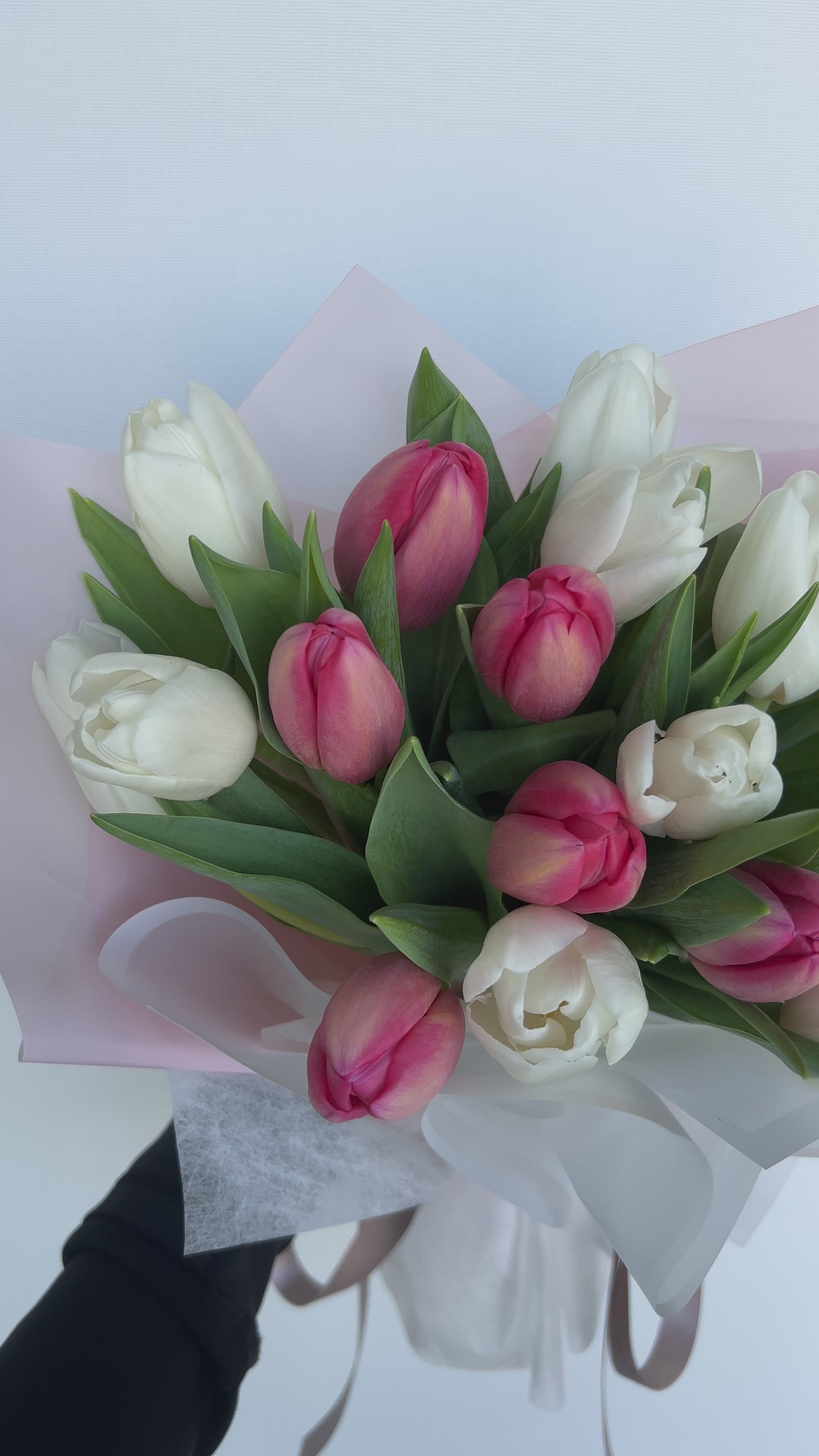Tulips - Two Colors (Mix & Match)